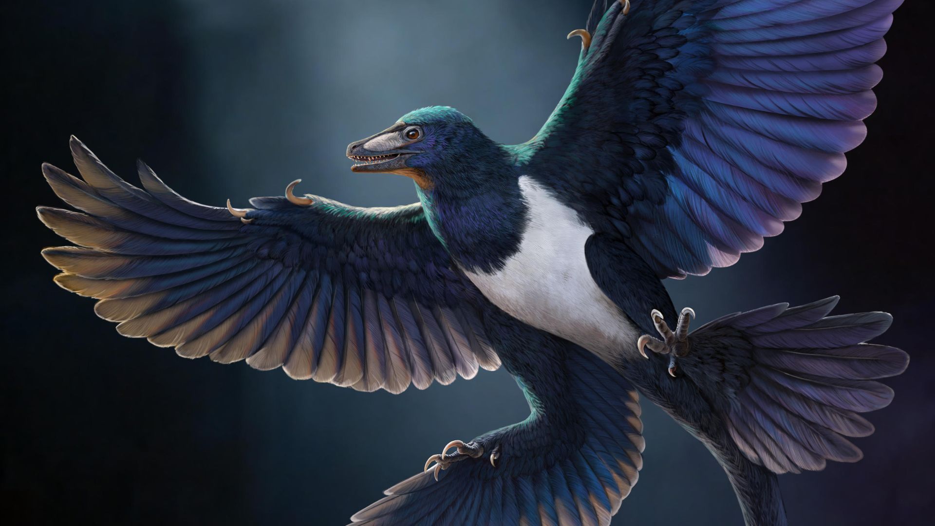 Predador de Quatro Asas Descoberto na China Altera a História da Evolução