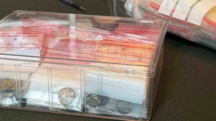 O Tesouro Oculto da Noruega: Arqueólogos Revelam Segredo de 5.000 Moedas
