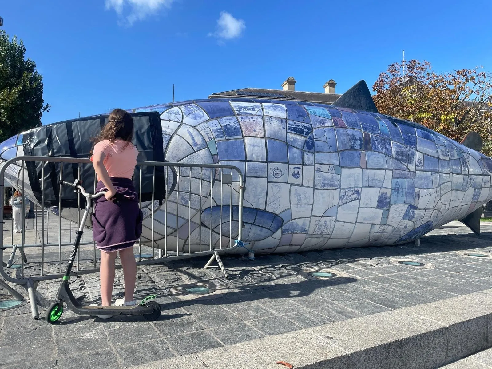 O Ataque Bizarro ao Peixe Místico de Belfast Que Chocou a Irlanda