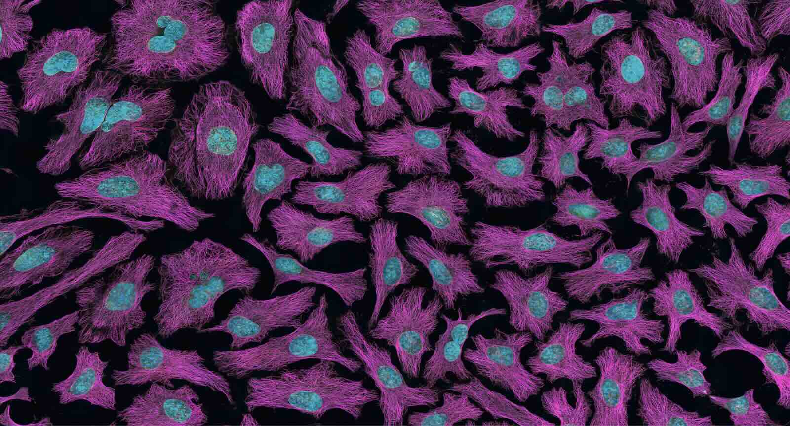 O Enigma do DNA Rebelde: A Descoberta que Pode Derrubar Tumores de Dentro
