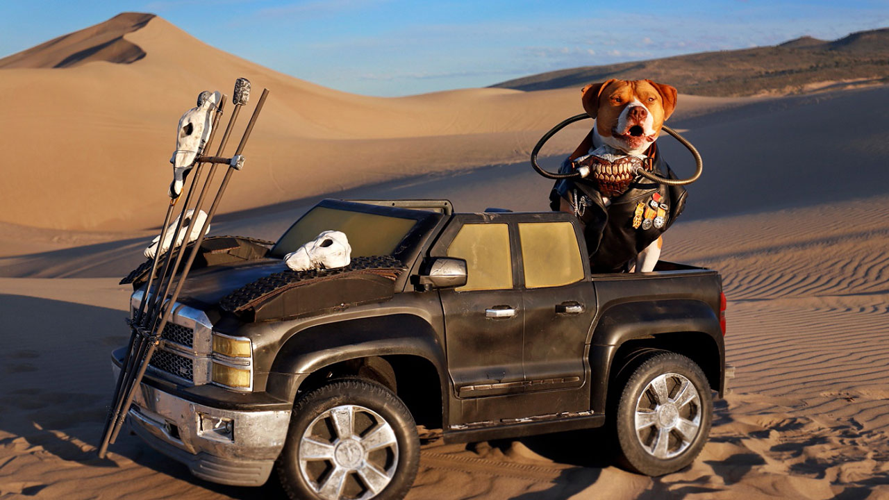 Mad Max: O ensaio fotográfico bizarro que transformou um cão em Immortan Joe