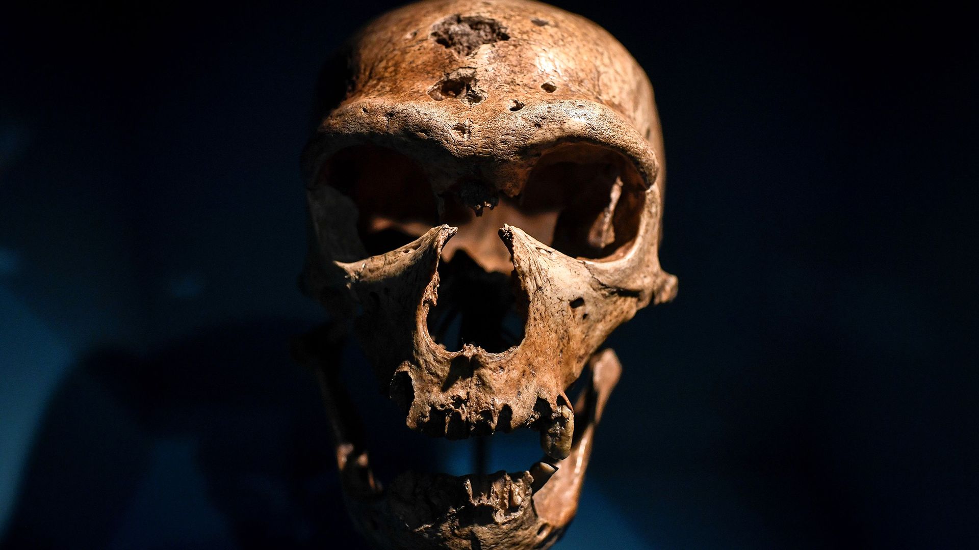 A Extinção dos Neandertais: Por Que Projetamos Nossos Medos Neles?