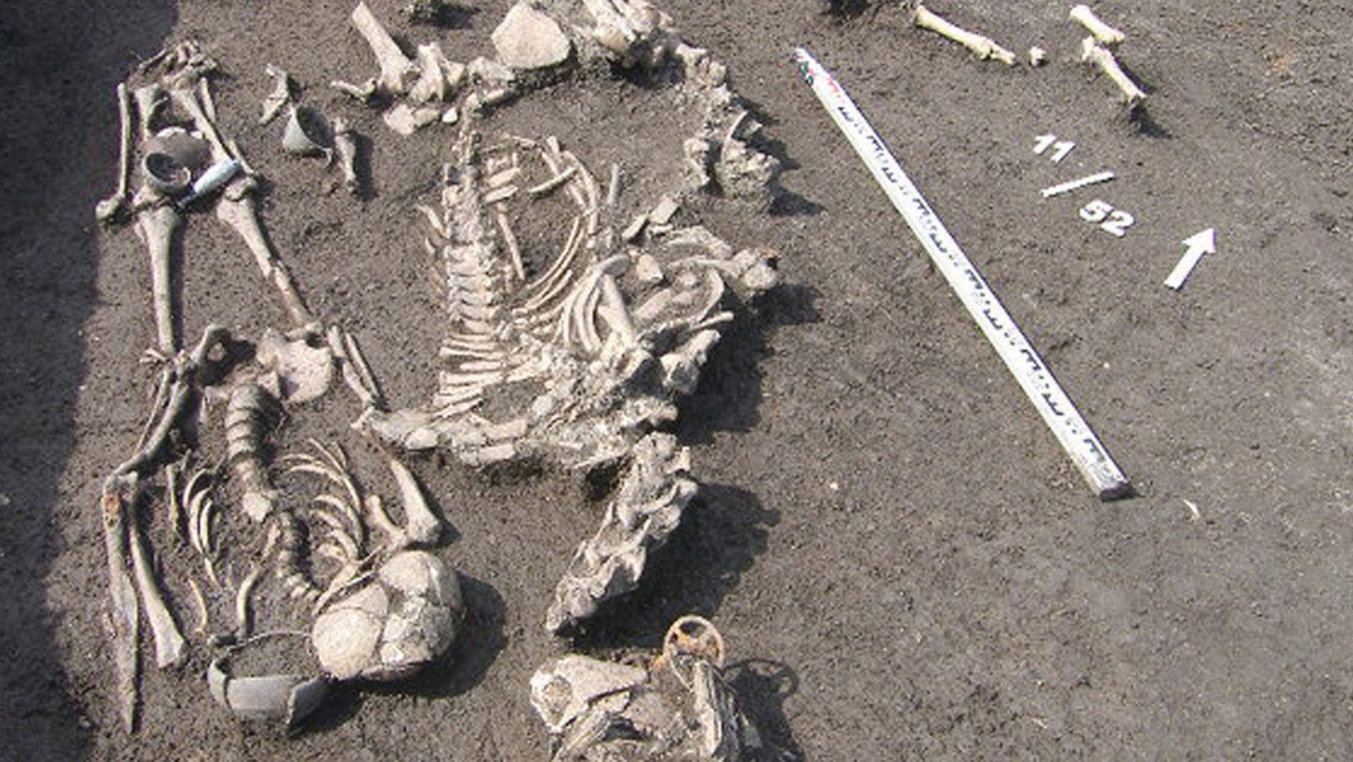 O Enigma do Guerreiro: Sacrifício Humano e Magia em Tumba de 2.000 Anos