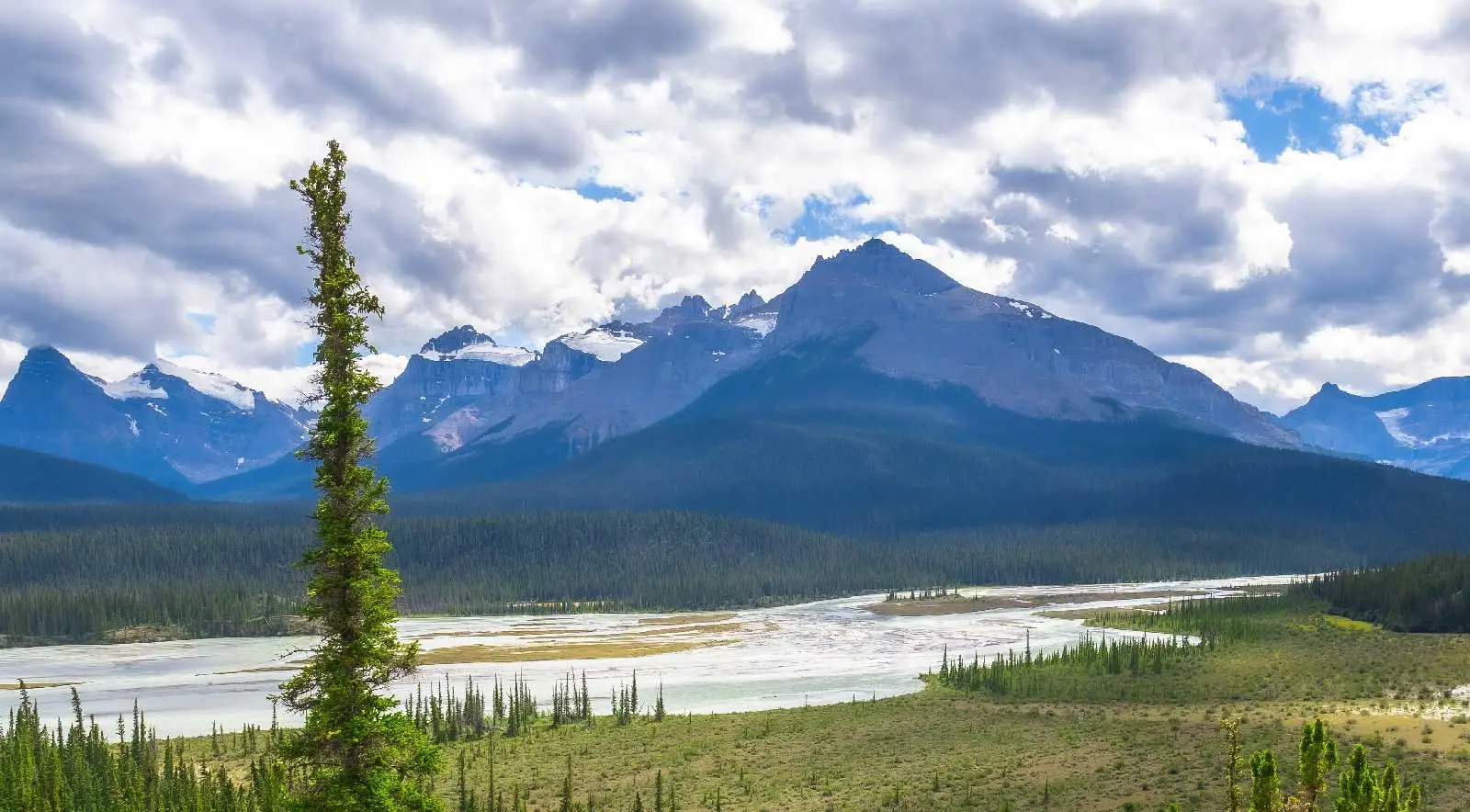 O Fim do Separatismo? A Decisão Histórica que Sacudiu as Estruturas de Alberta