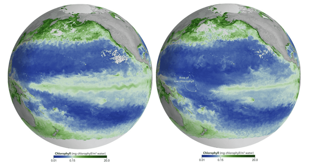 NASA Alerta: Satélites Detectam Mudança Preocupante na Cor dos Oceanos