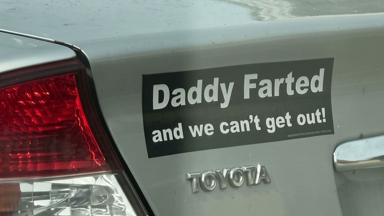O Fenômeno Bizarro dos Adesivos de Carro: Por Que Tantas Pessoas Perderam o Filtro?